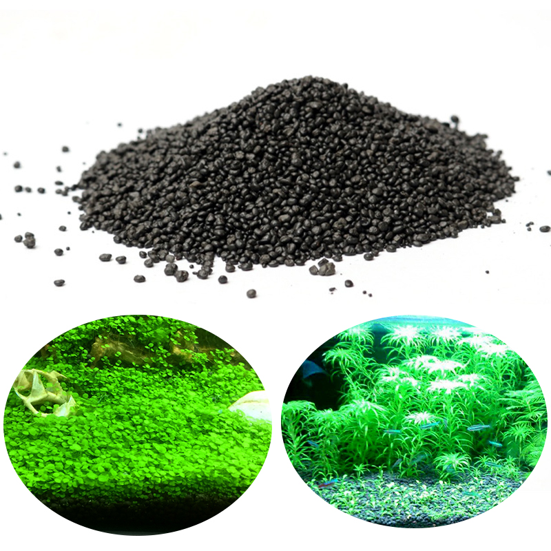 Aquarium Planted Seeds - Hierba de agua de acuario, barro,