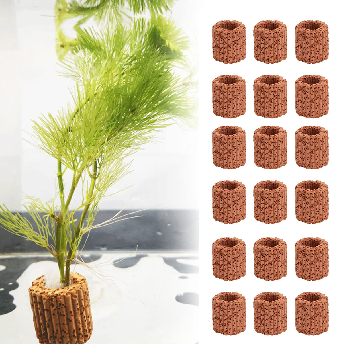 Aquarium Plant Rings - Anillo fijo para plantas acuáticas, Base