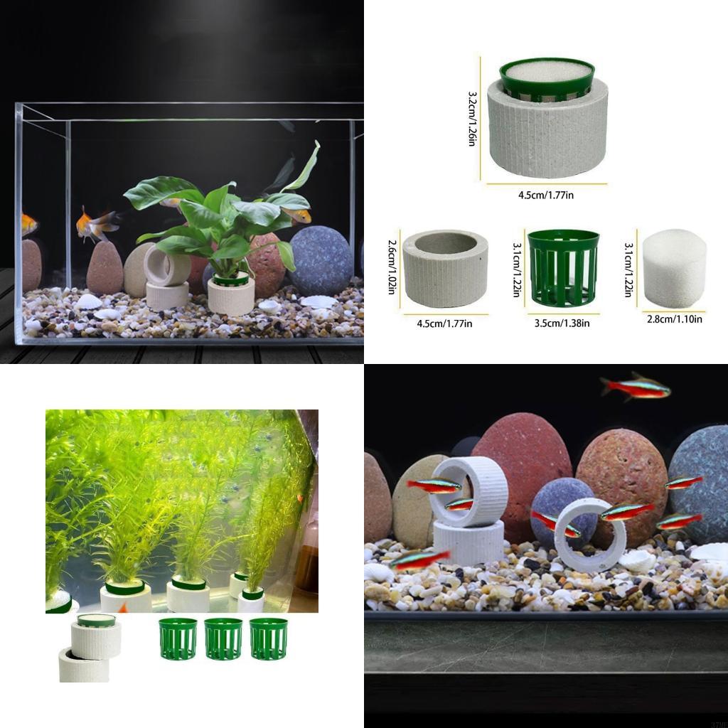 Aquarium Plant Rings - 37ME Juego 10 anillos fijos para
