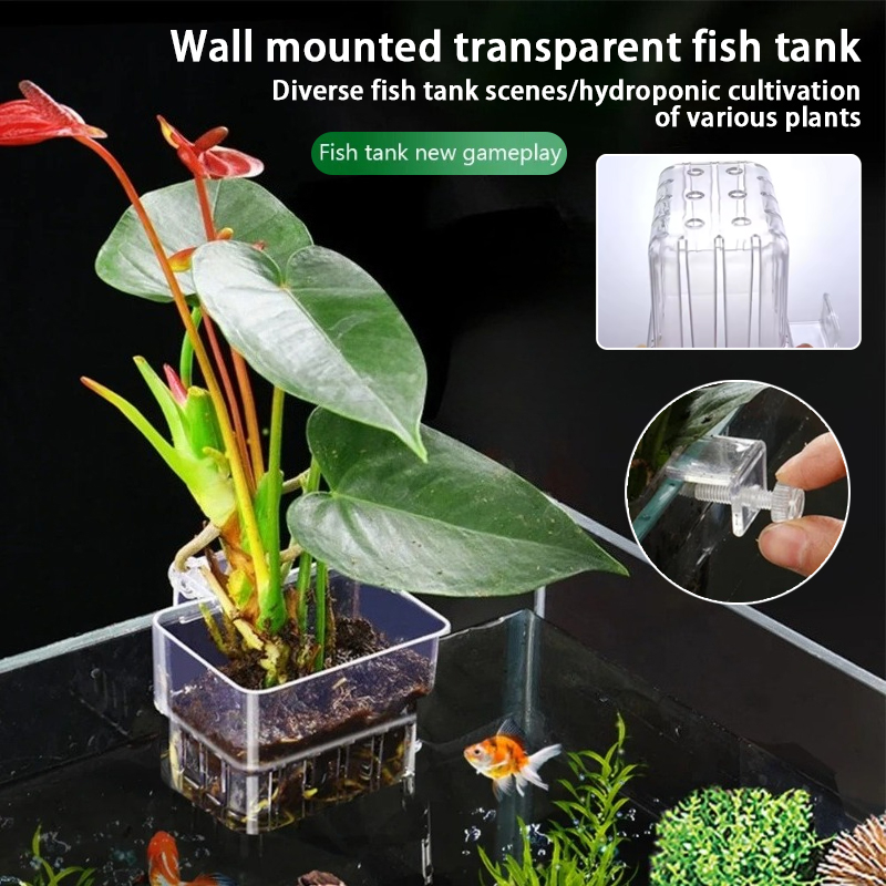 Aquarium Plant Rings - Macetas Colgantes para Acuario, Soporte de
