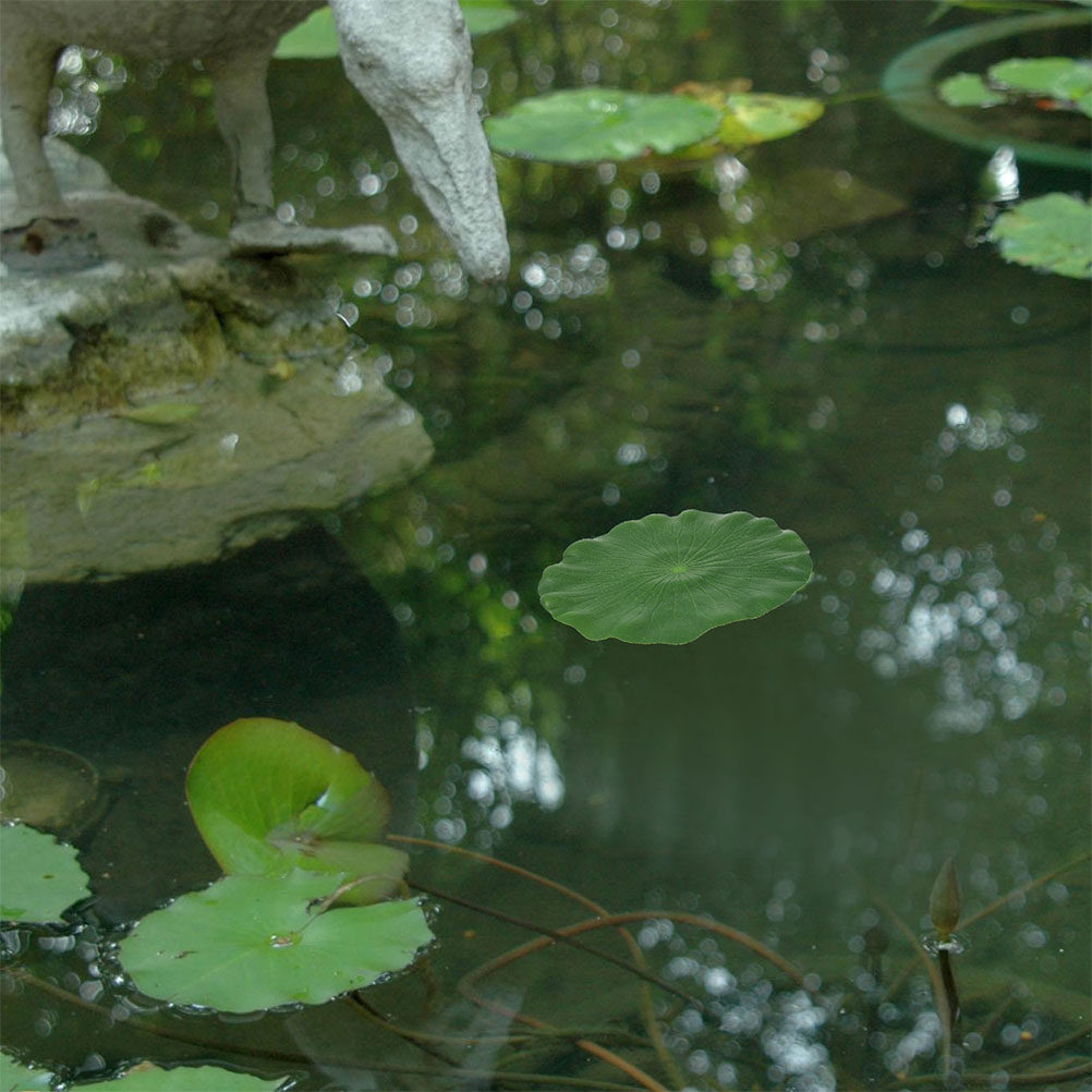 Aquarium For Planted Tank - 15 Piezas de Hojas de Lirio