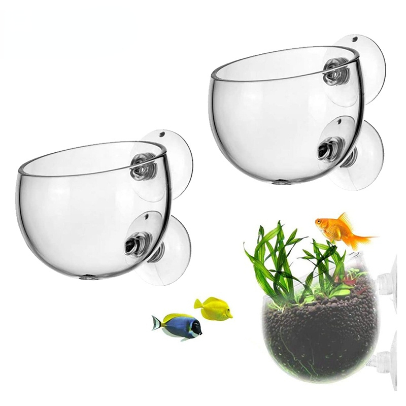Aquarium Planted Seeds - Nuevo Maceta para plantas de acuario,