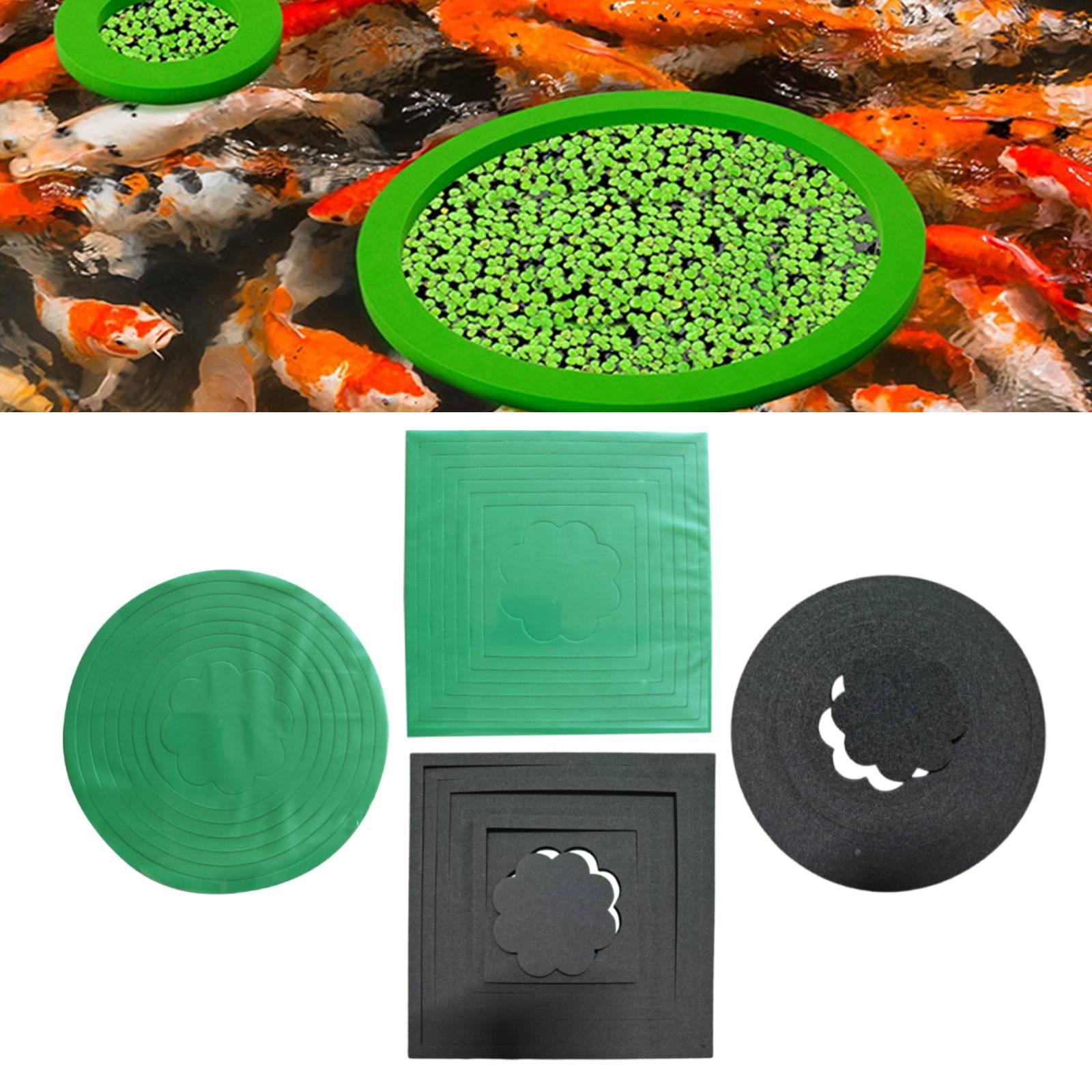 Aquarium Plant Rings - Anillos Flotantes de EVA para Plantas,