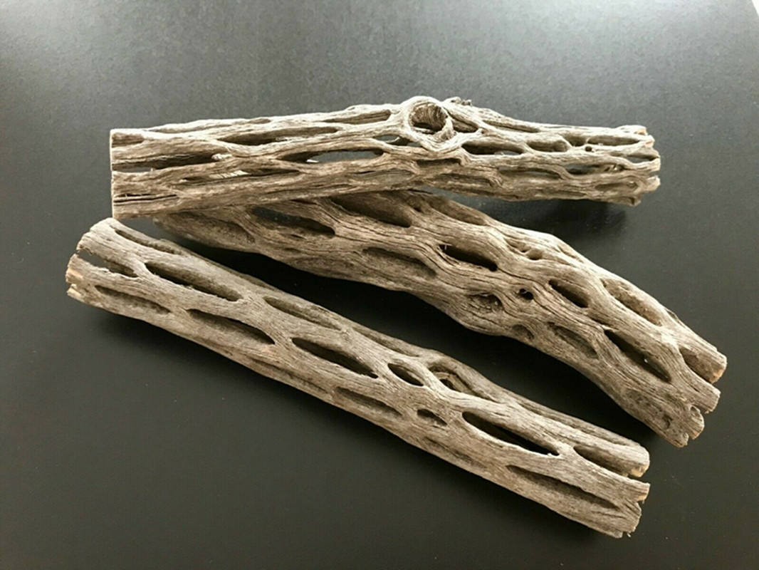 Aquarium Planted Seeds - Casa de nido de camarones de