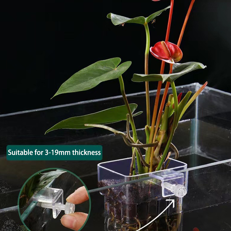 Aquarium For Planted Tank - Taza de plantación de hierba de