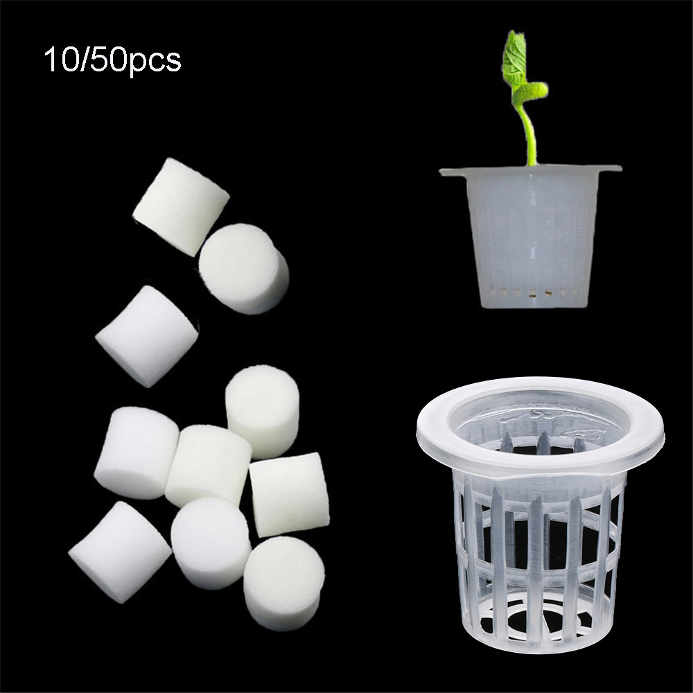 Aquarium Planted Seeds - Bandejas de semillas hidropónicas sin suelo