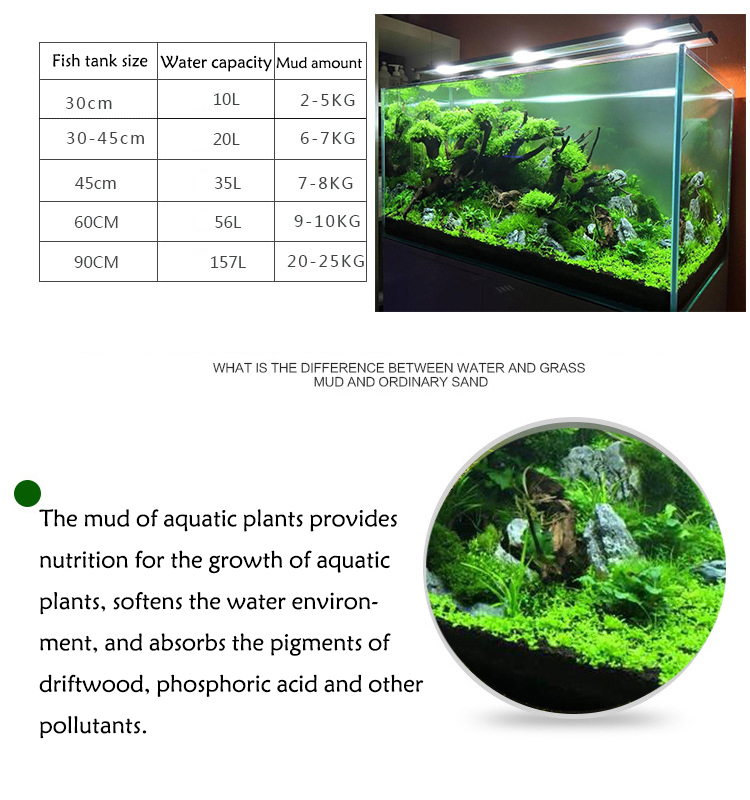 Hierba de agua de acuario, bar - Aquarium Planted Seeds reseña y precio