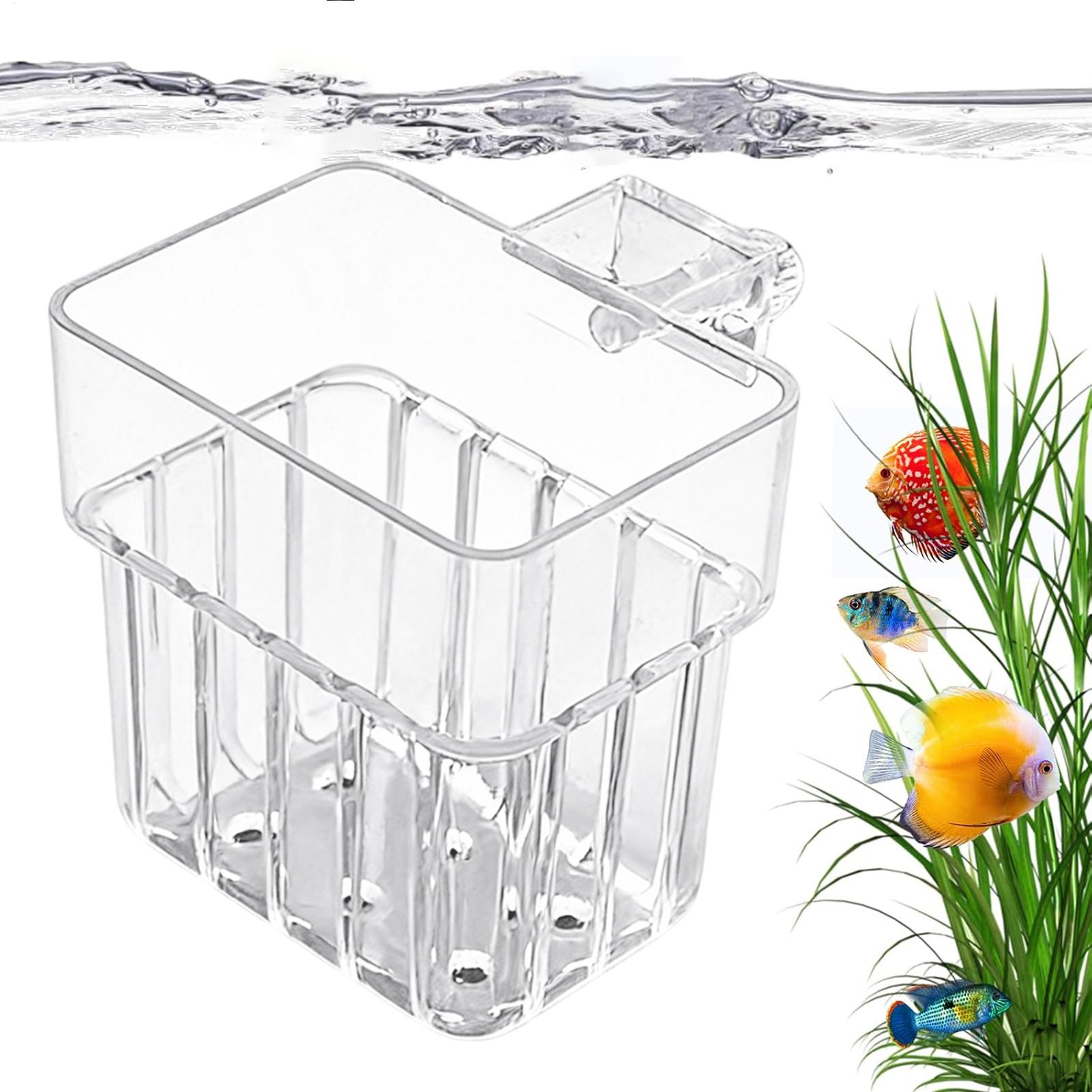 Maceta Transparente Colgante p - Aquarium Plant Rings reseña y precio