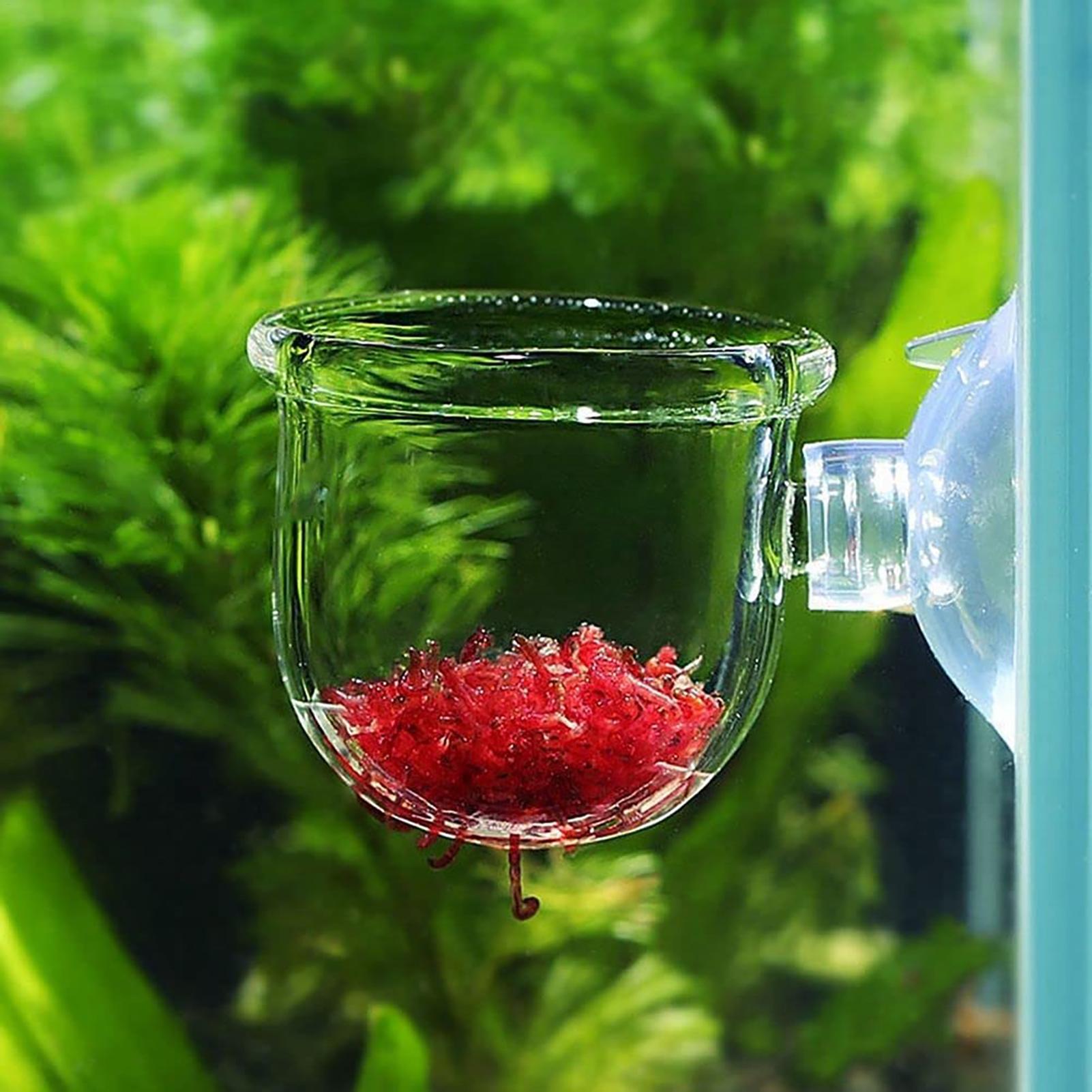 Maceta para plantas de acuario - Aquarium Planted Seeds reseña y precio