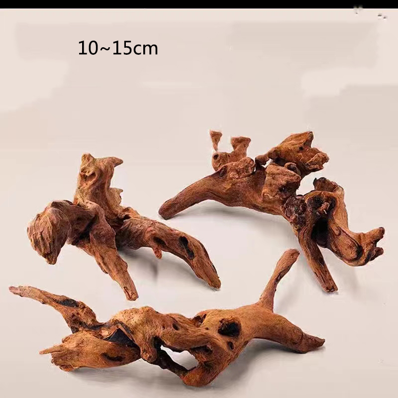 Decoración de acuario de tronc - Aquarium Plant Root Tabs reseña y precio