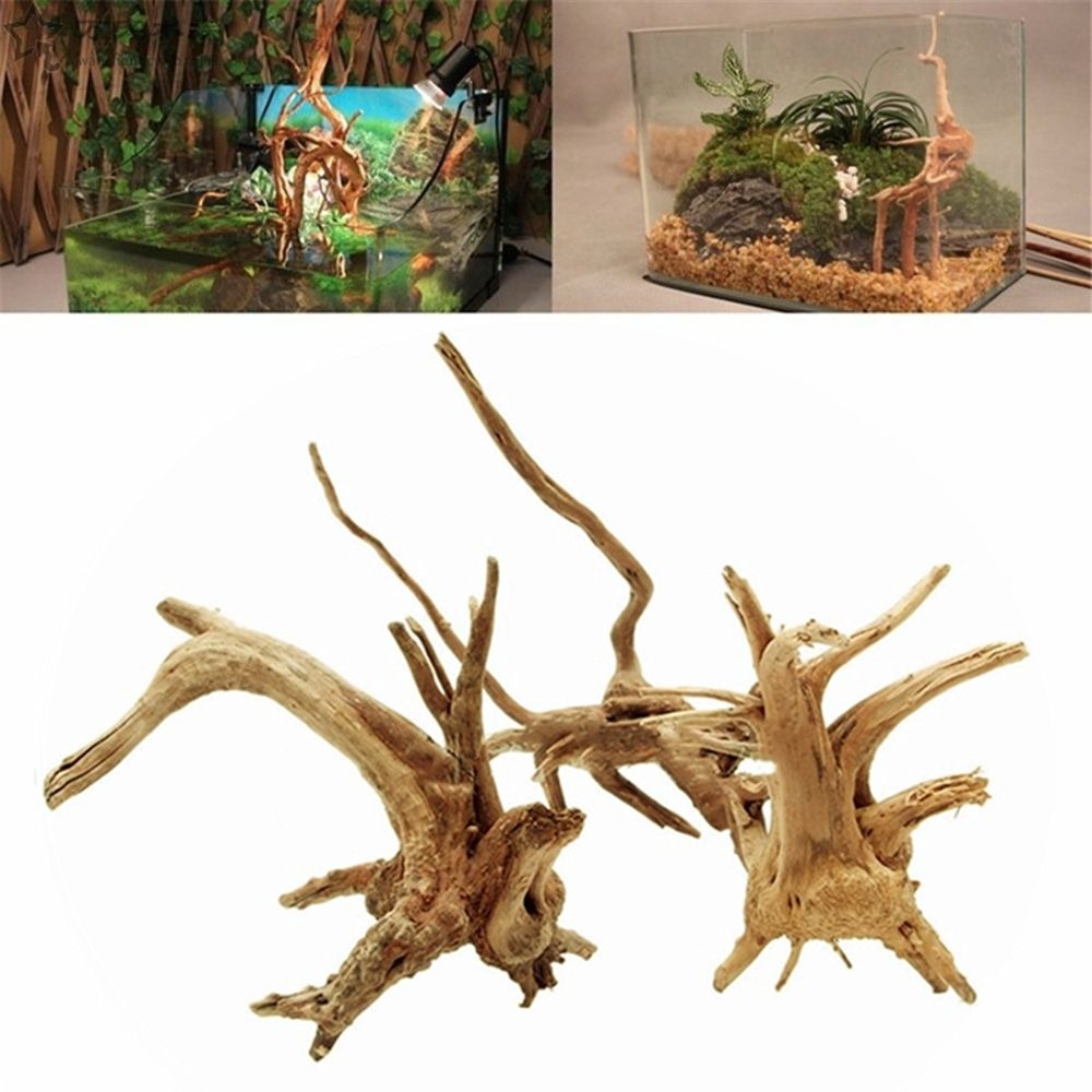 Adornos de madera Natural para - Aquarium Plant Root Tabs reseña y precio