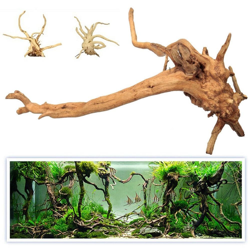 Adornos de madera Natural para - Aquarium Plant Root Tabs reseña y precio