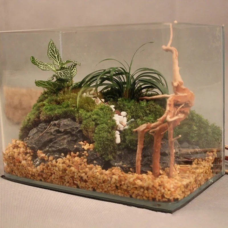 Tronco de árbol Natural de mad - Aquarium Plant Root Tabs reseña y precio