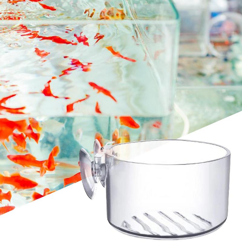 Maceta para plantas de acuario - Aquarium Planted Seeds reseña y precio