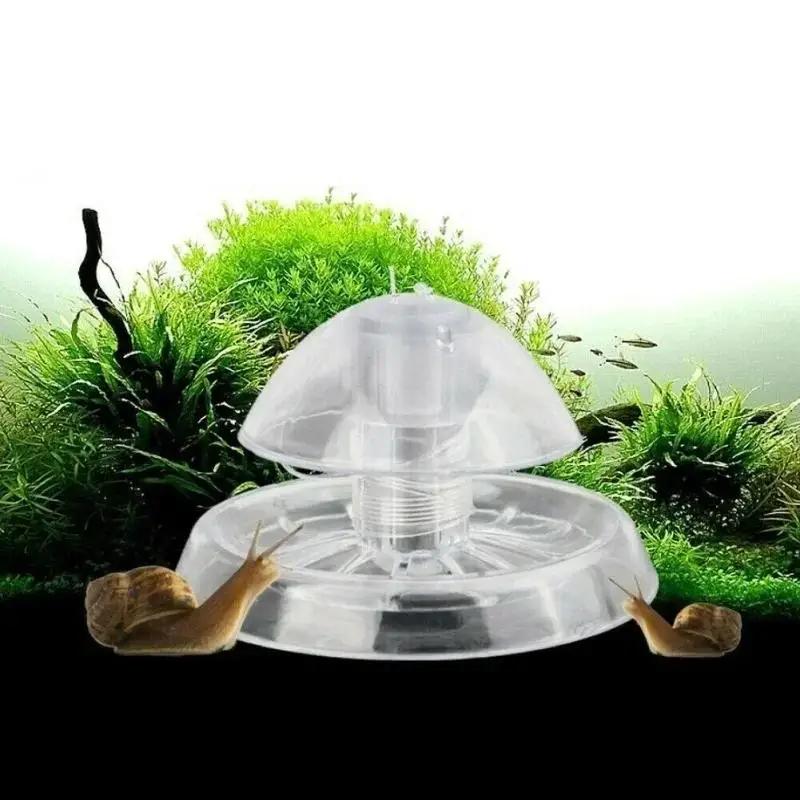 Nueva Trampa para Caracoles de - Aquarium For Planted Tank reseña y precio