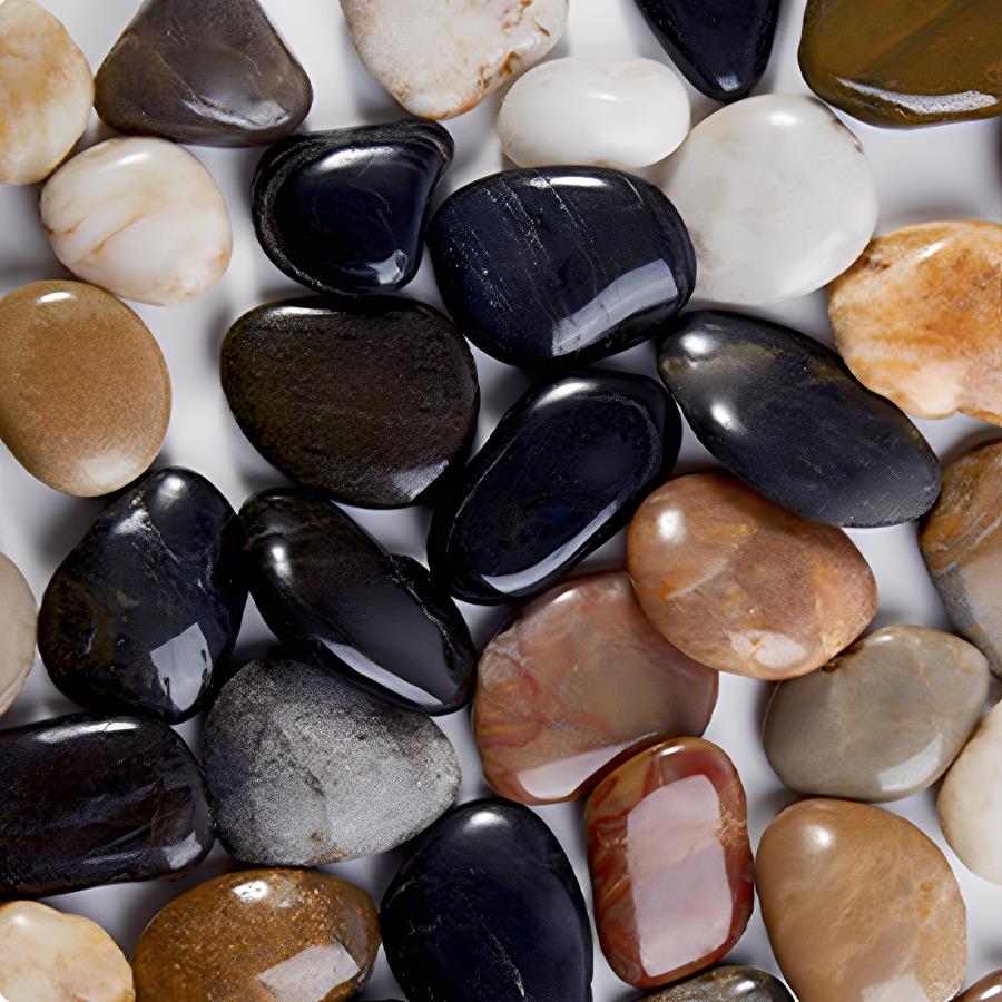 Piedras de Río Lisas de 300-70 - Aquarium For Planted Tank reseña y precio