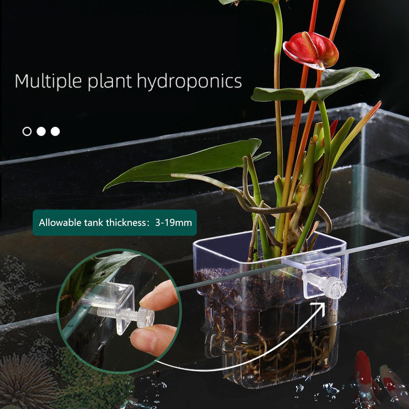 Cesta de plantas hidropónicas  - Aquarium Planted Seeds reseña y precio