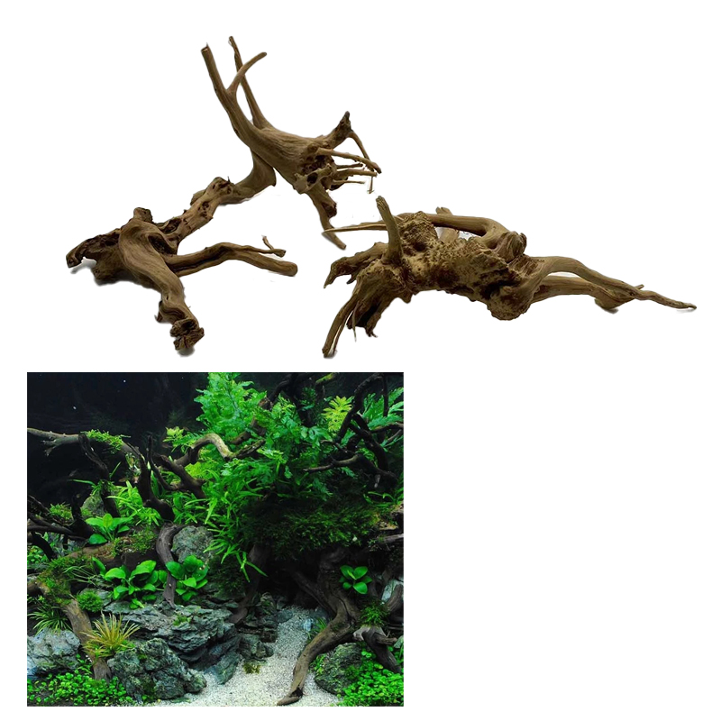 Tronco de árbol Natural, mader - Aquarium Plant Root Tabs reseña y precio