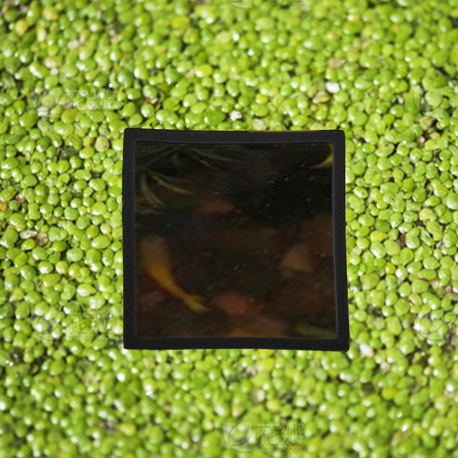 5 Anillos Flotantes para Plant - Aquarium Plant Rings reseña y precio