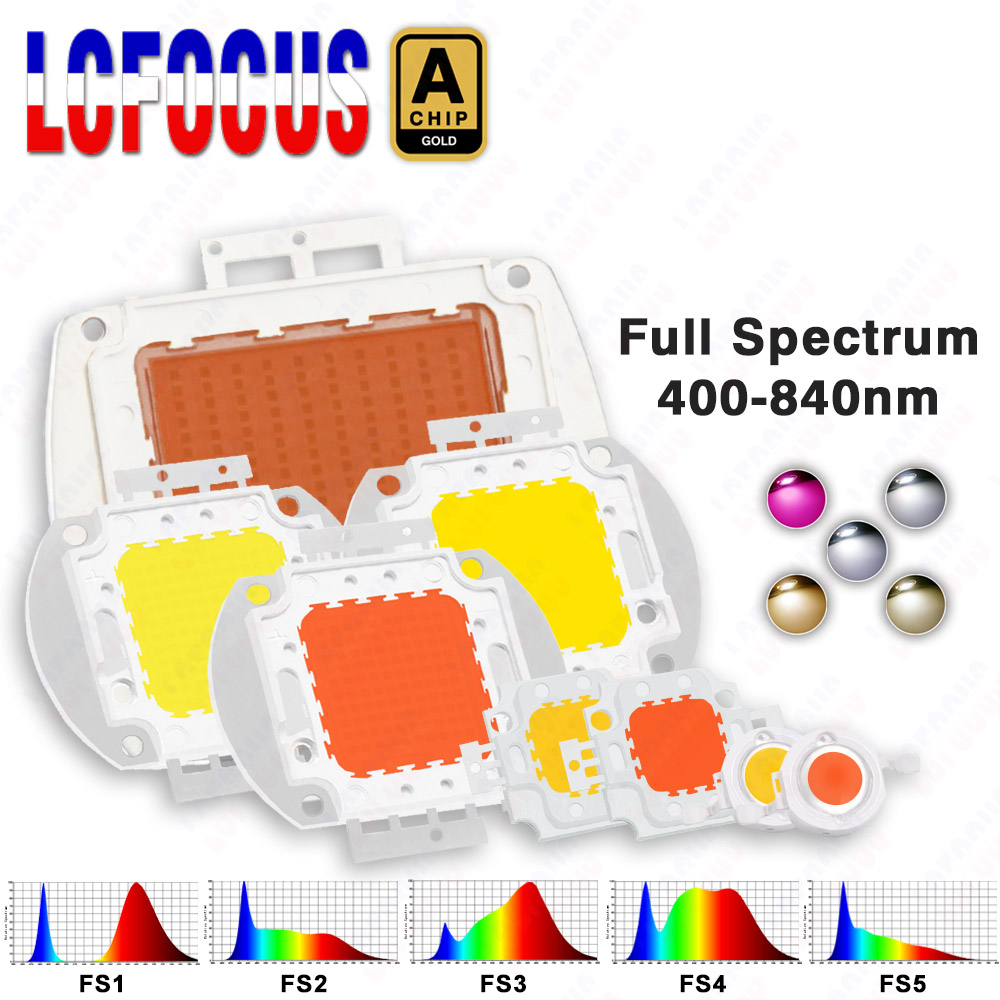 1W 3W 5W 10W 20W 30W 50W 100W  - Aquarium Planted Seeds reseña y precio