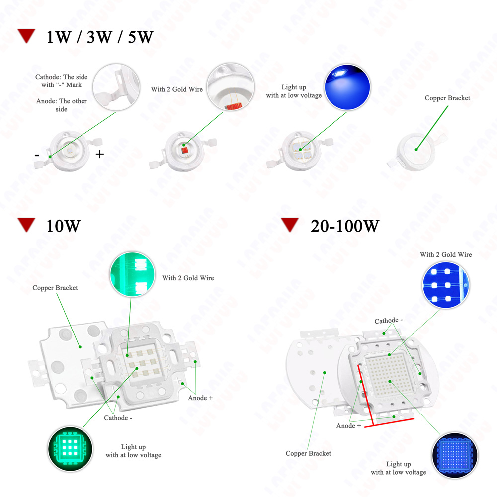 1W 3W 5W 10W 20W 30W 50W 100W  - Aquarium Planted Seeds reseña y precio