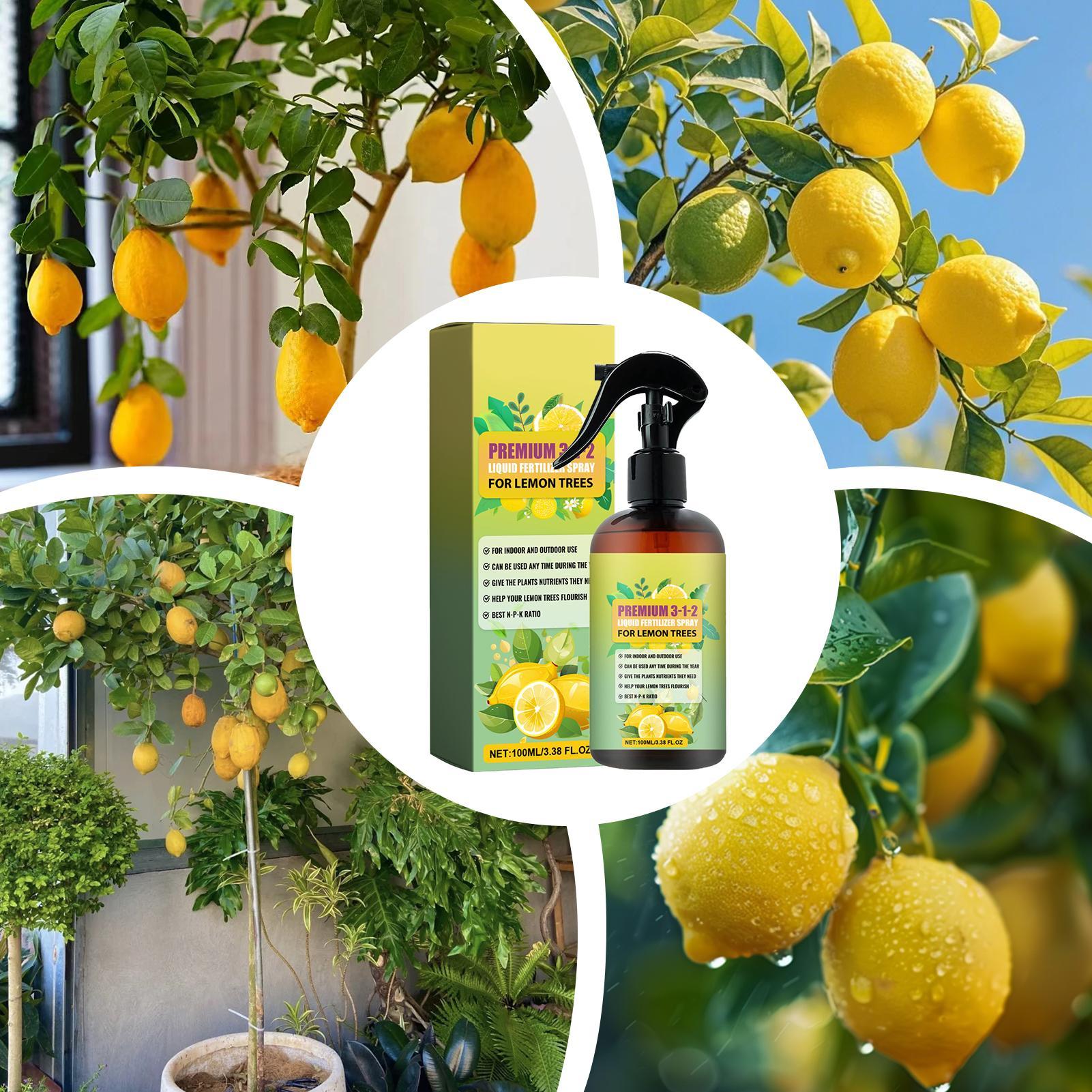 Spray Nutritivo Concentrado pa - Liquid Fertilizer All In reseña y precio