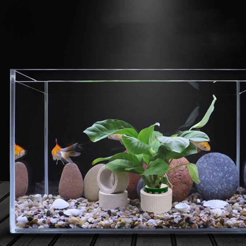37ME Juego 10 anillos fijos pa - Aquarium Plant Rings reseña y precio
