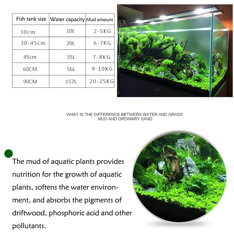 Tanque de agua para peces, hie - Aquarium Planted Seeds reseña y precio