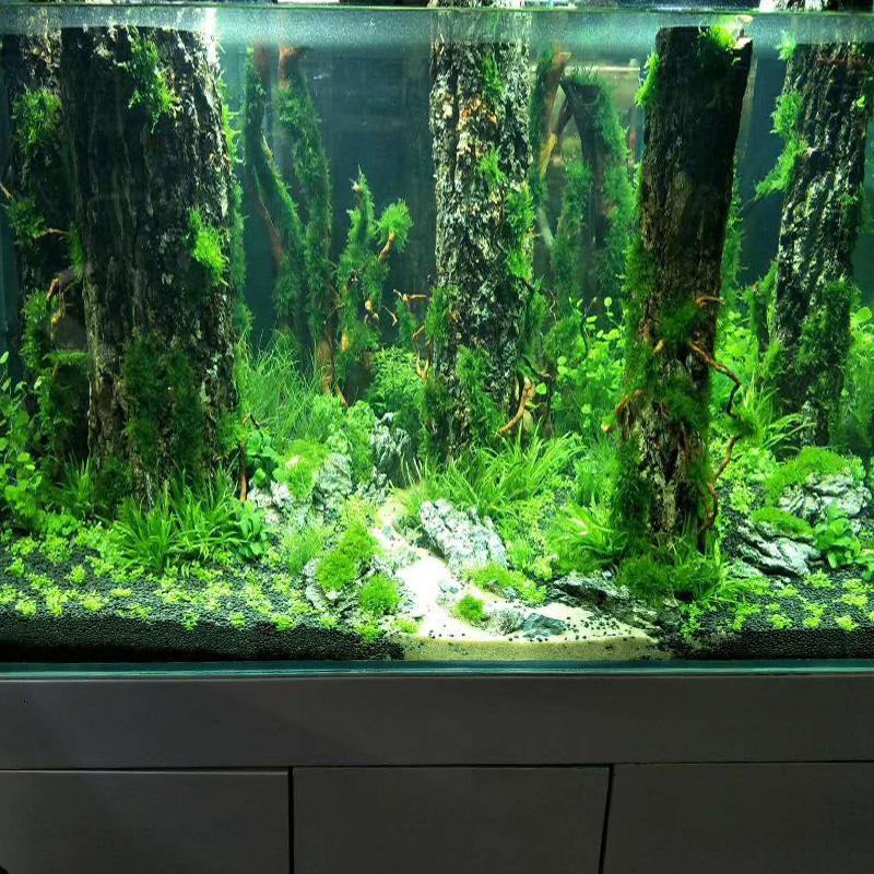 Simulación de tronco de árbol  - Aquarium Plant Root Tabs reseña y precio
