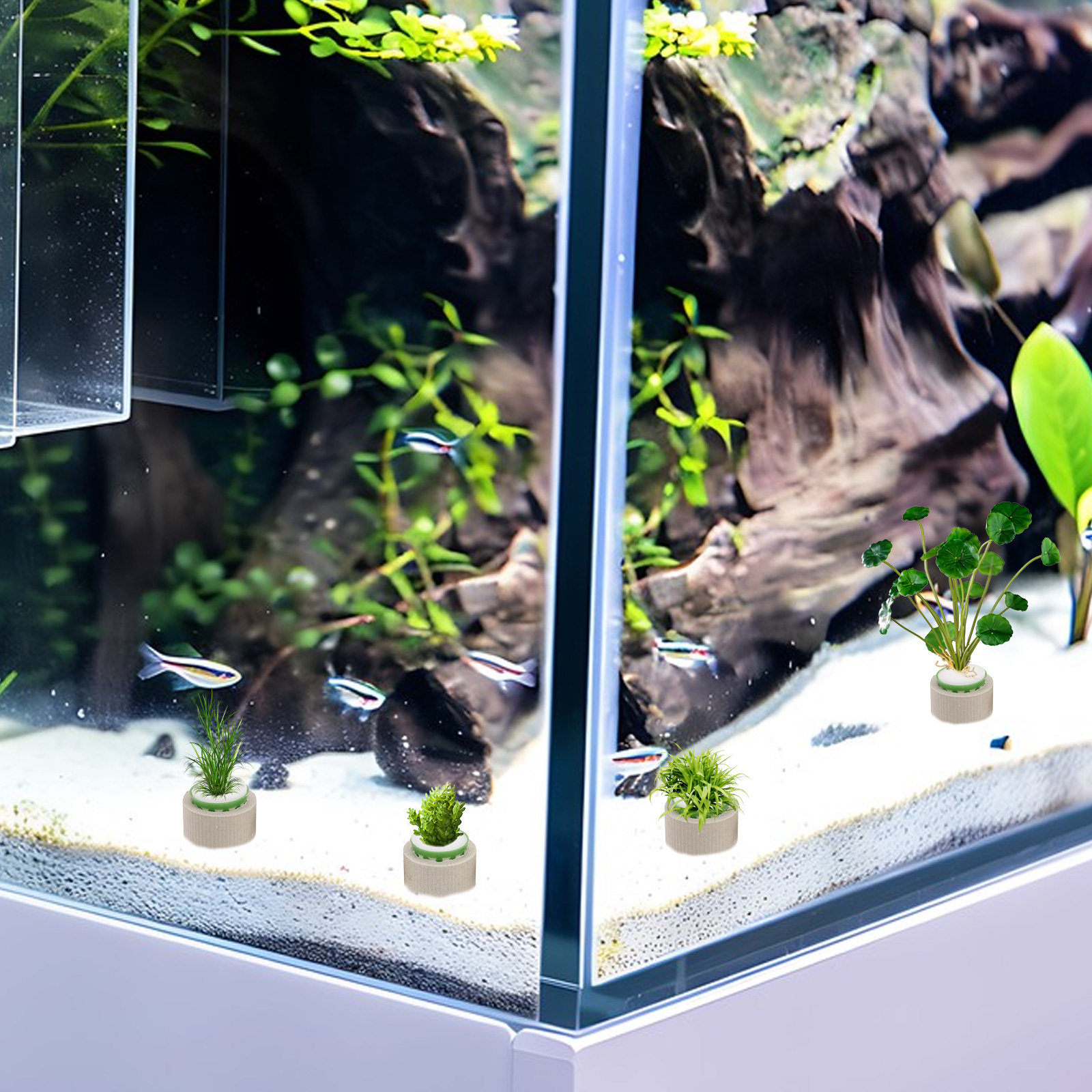 9 Anillos de Cerámica Porosa p - Aquarium Plant Rings reseña y precio