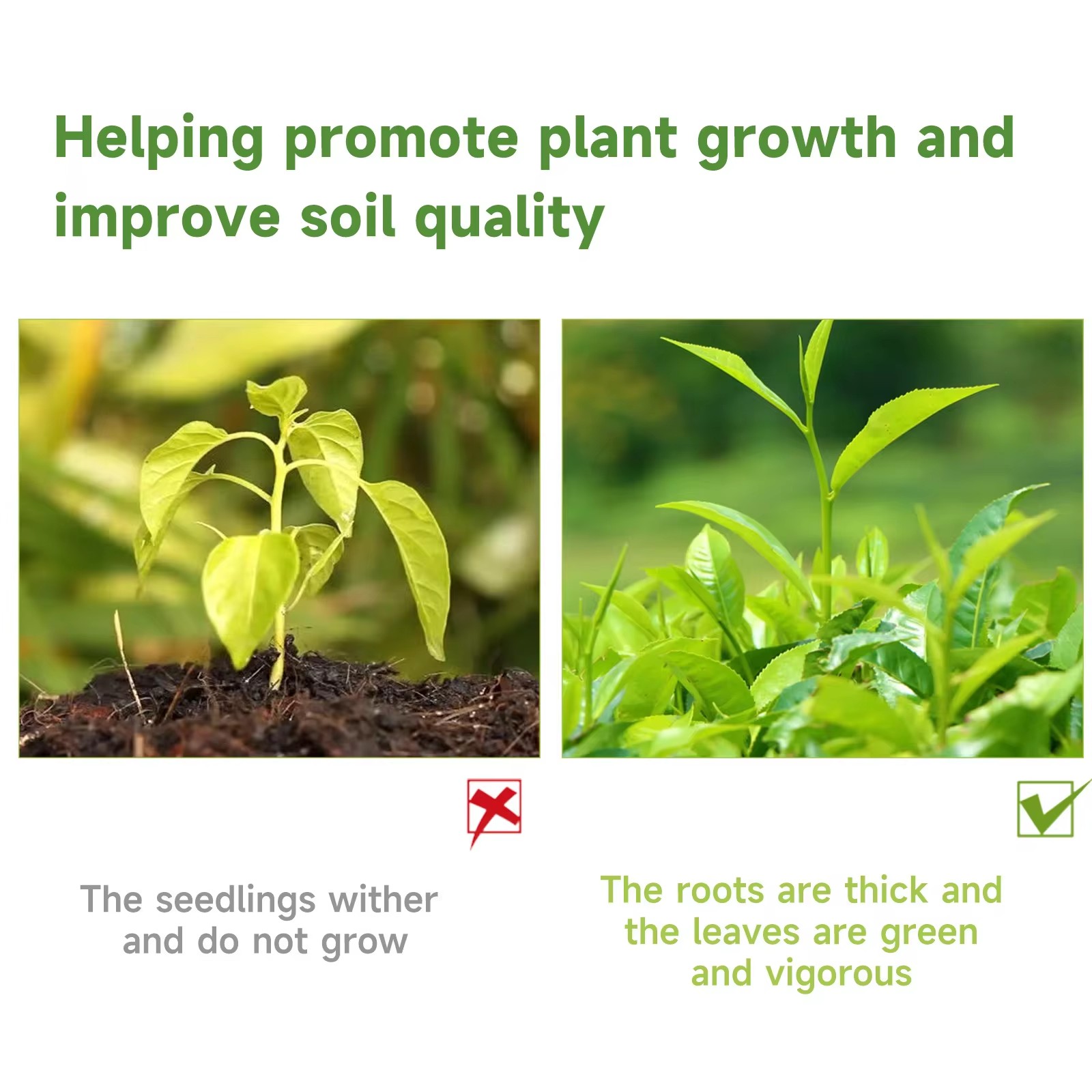 MOONSPRY Líquido nutritivo par - Liquid Fertilizer All In reseña y precio