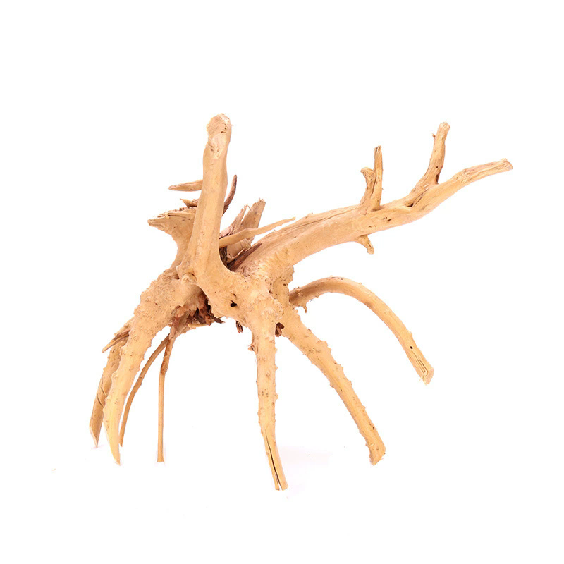 4 Piezas de Decoración Natural - Aquarium Plant Root Tabs reseña y precio