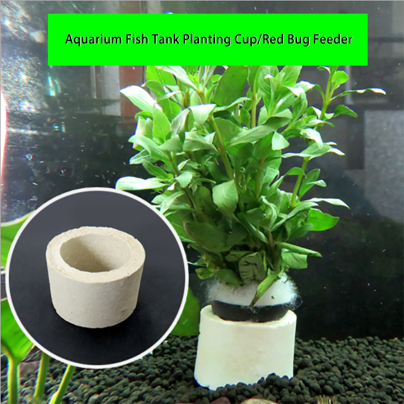 Anillo de cerámica para decora - Aquarium Plant Rings reseña y precio
