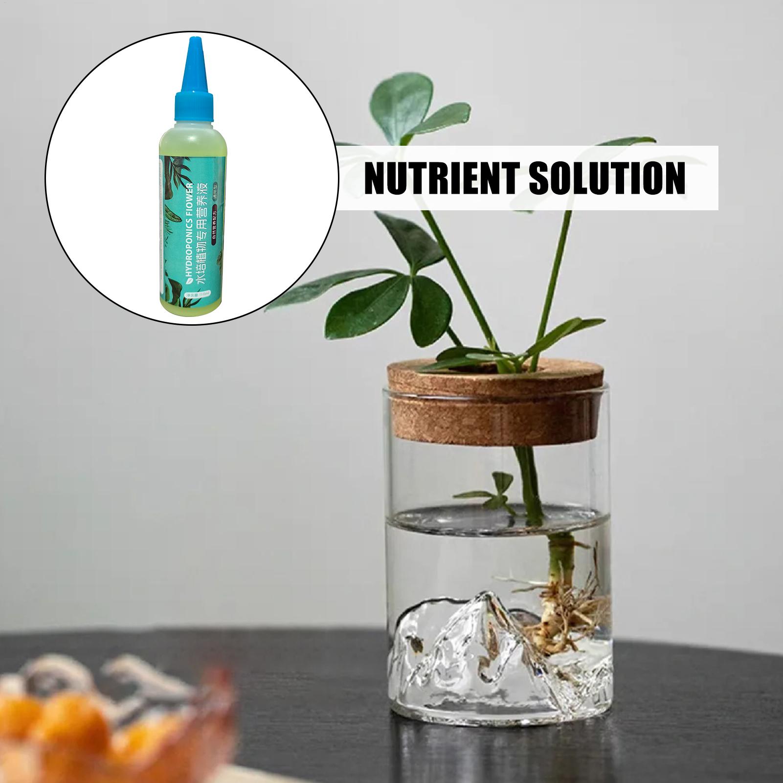 Fertilizante Líquido para Plan - Liquid Fertilizer All In reseña y precio