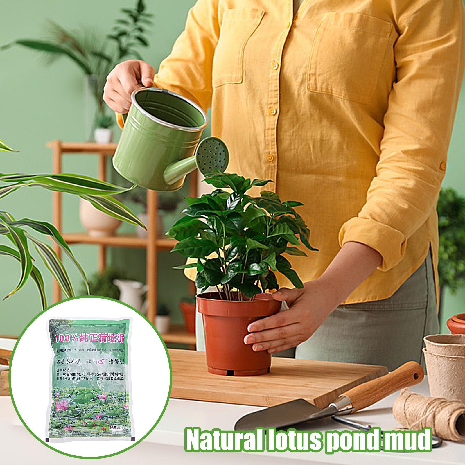 200g/bolsa Tierra para Acuario - Aquarium Planted Seeds reseña y precio
