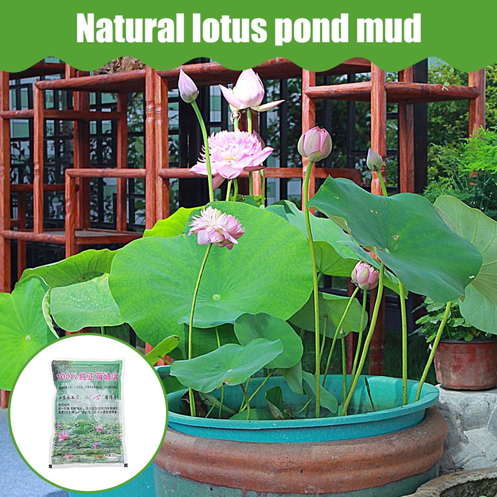 200g/bolsa Tierra para Acuario - Aquarium Planted Seeds reseña y precio