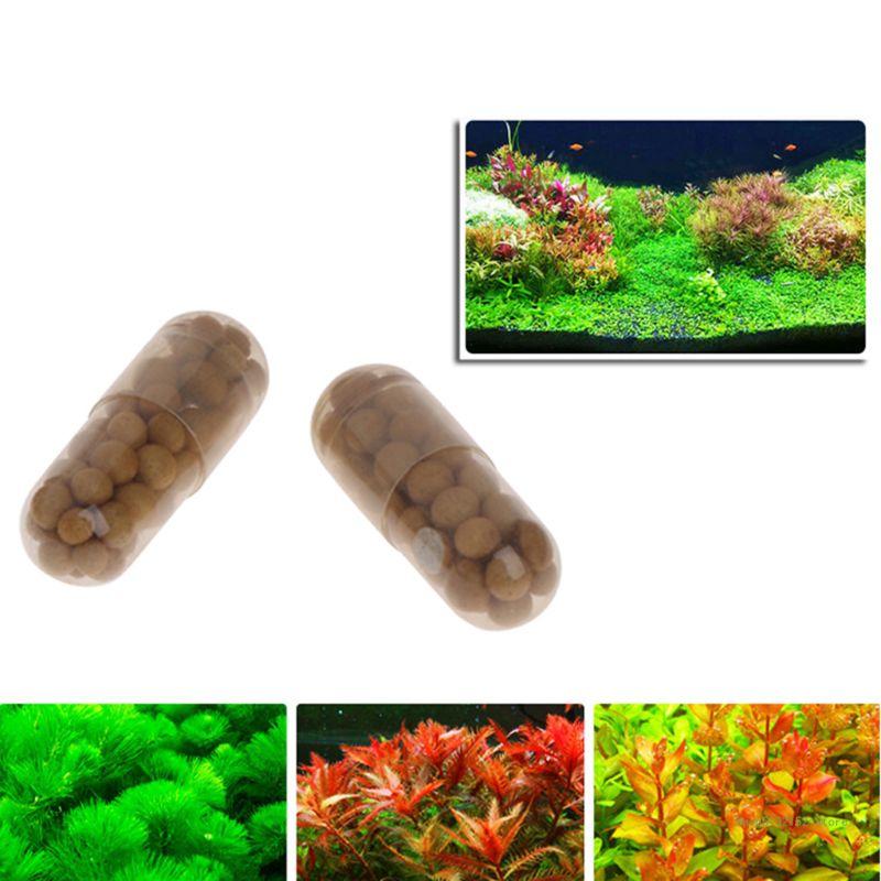QX2E Acuario Planta viva Ferti - Aquarium Plant Root Tabs reseña y precio