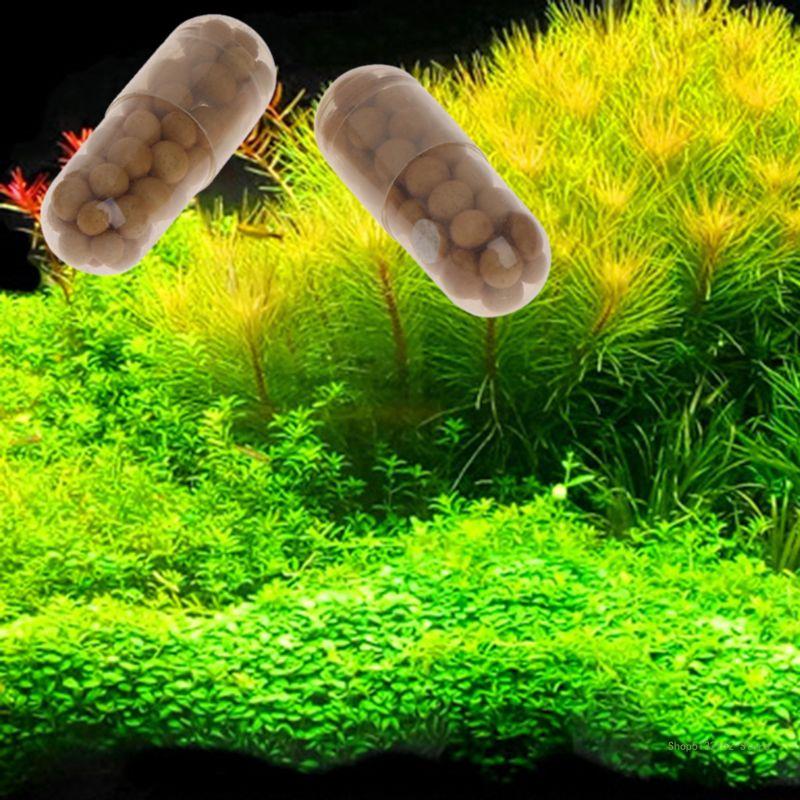 QX2E Acuario Planta viva Ferti - Aquarium Plant Root Tabs reseña y precio