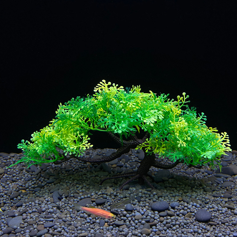 Árbol Bonsái para Acuario, Pla - Aquarium Planted Seeds reseña y precio