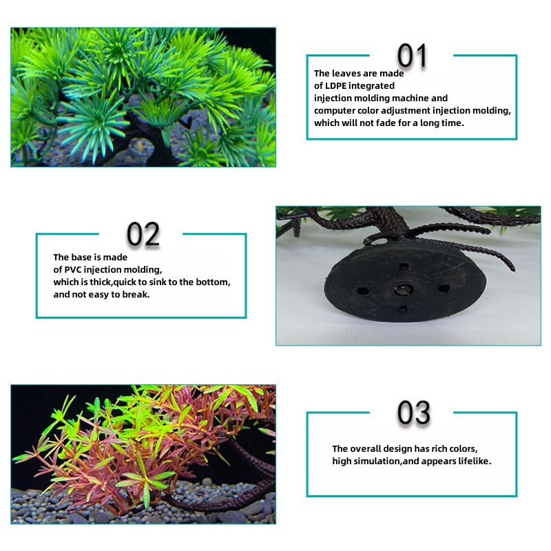 Árbol Bonsái para Acuario, Pla - Aquarium Planted Seeds reseña y precio