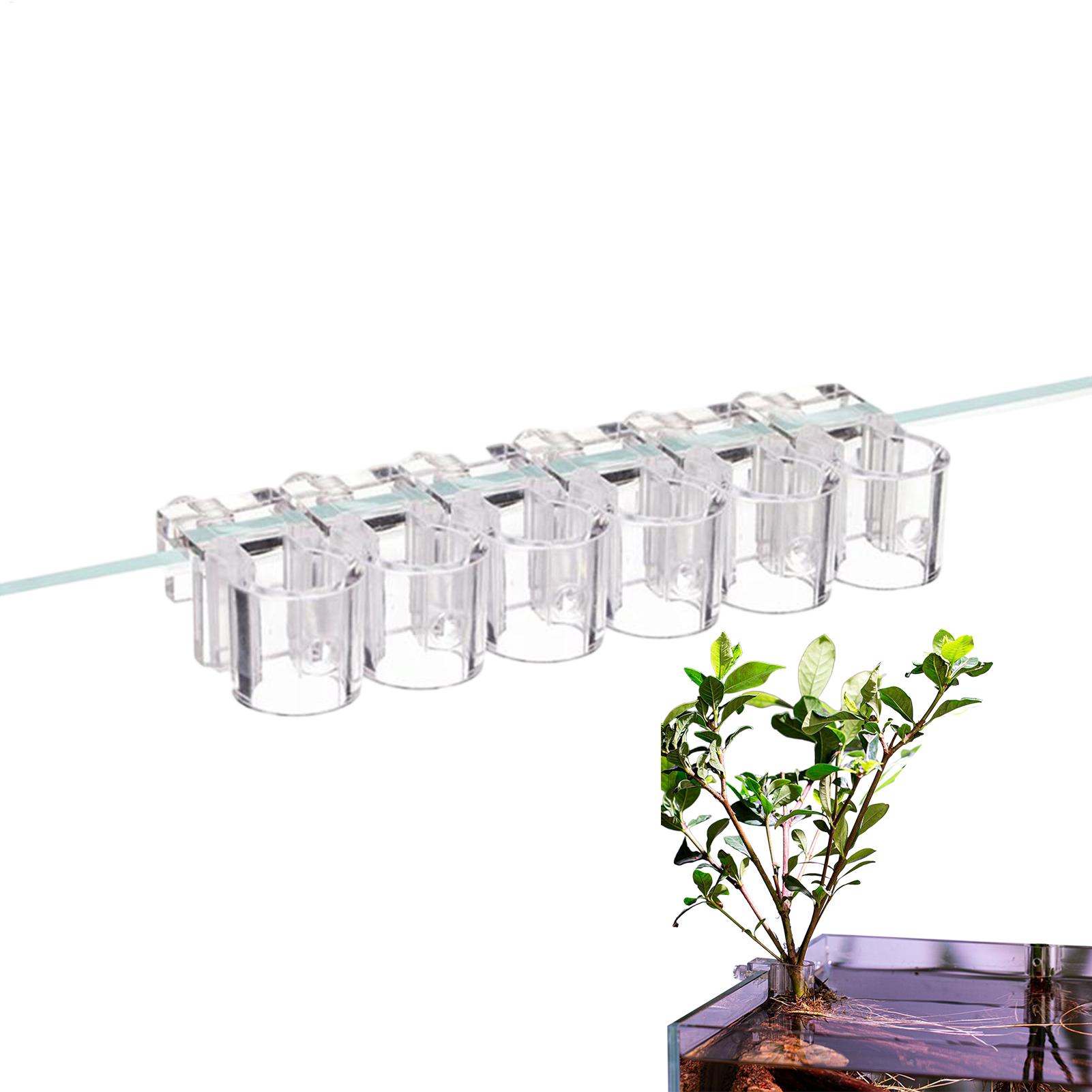Cesta para Plantas de Acuario, - Aquarium Plant Rings reseña y precio