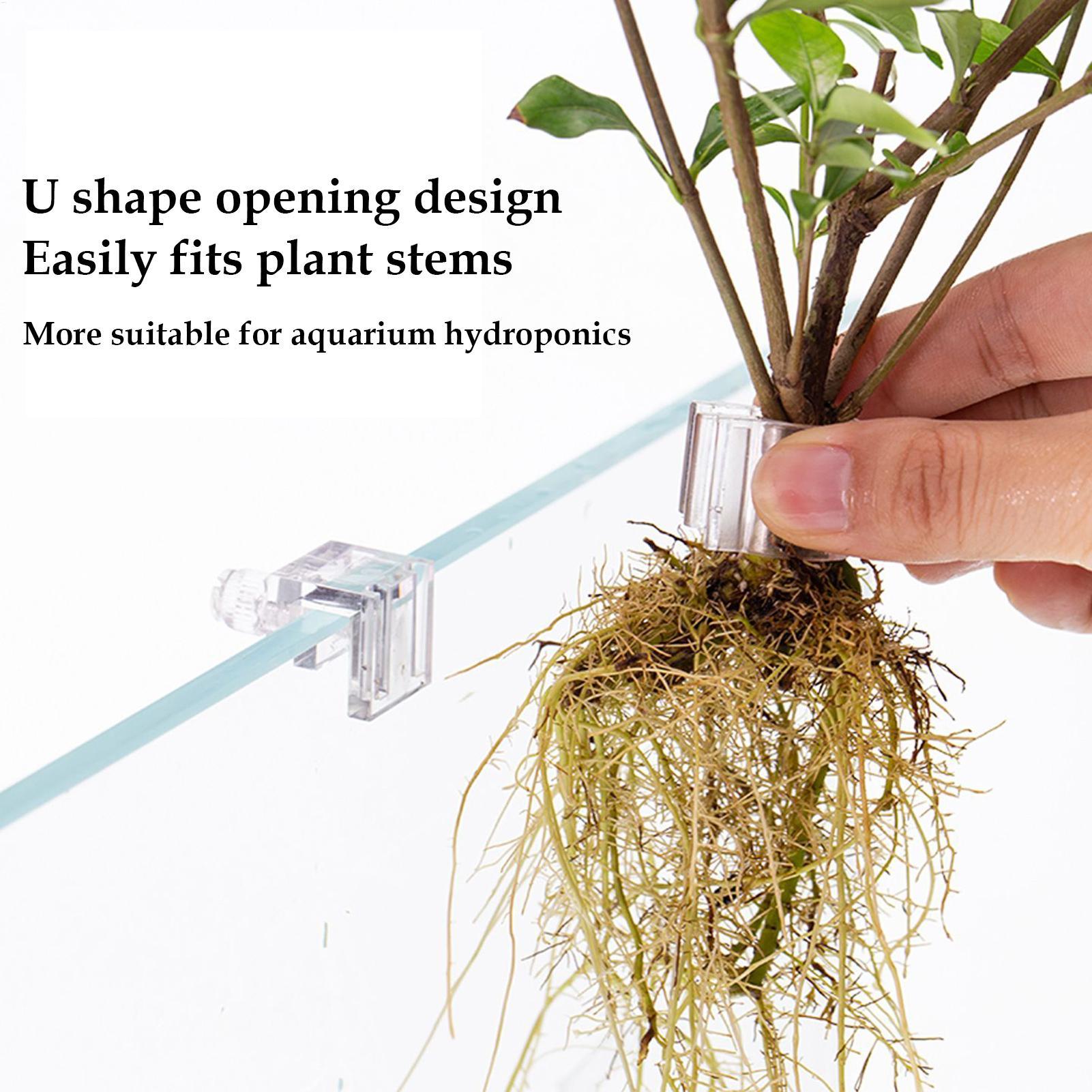 Cesta para Plantas de Acuario, - Aquarium Plant Rings reseña y precio