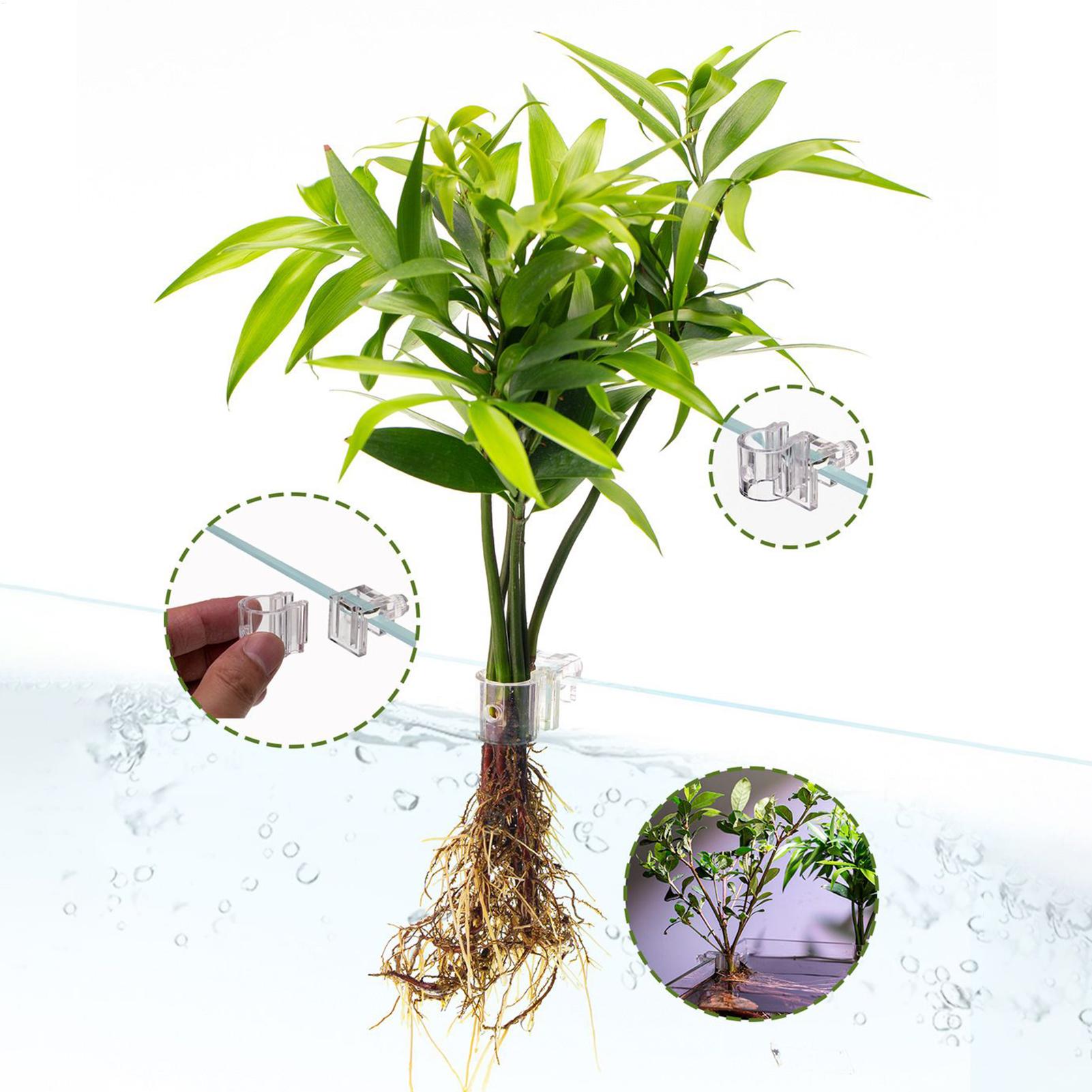 Cesta para Plantas de Acuario, - Aquarium Plant Rings reseña y precio
