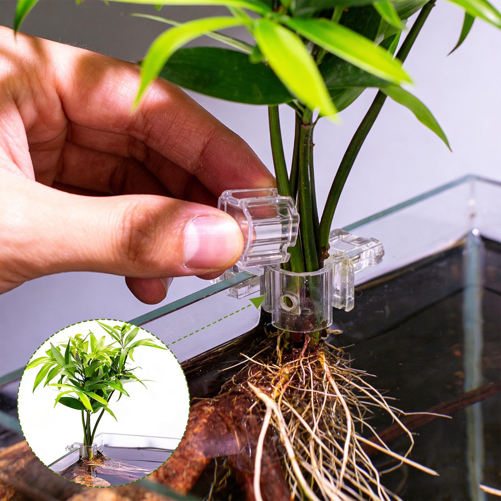 Cesta para Plantas de Acuario, - Aquarium Plant Rings reseña y precio