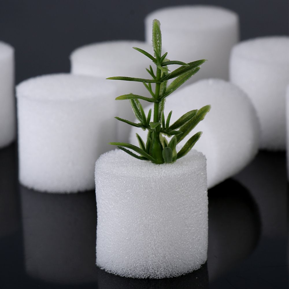 Suministros de jardín duradero - Aquarium Planted Seeds reseña y precio
