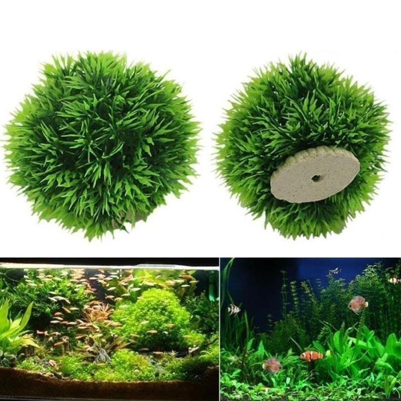 Plantas Acuáticas Artificiales - Aquarium Plant Rings reseña y precio