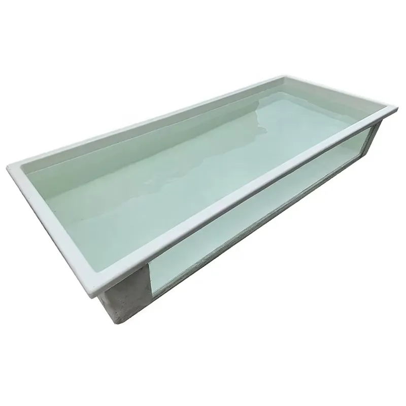 Plantas Vivas para Acuario, Se - Aquarium Planted Seeds reseña y precio