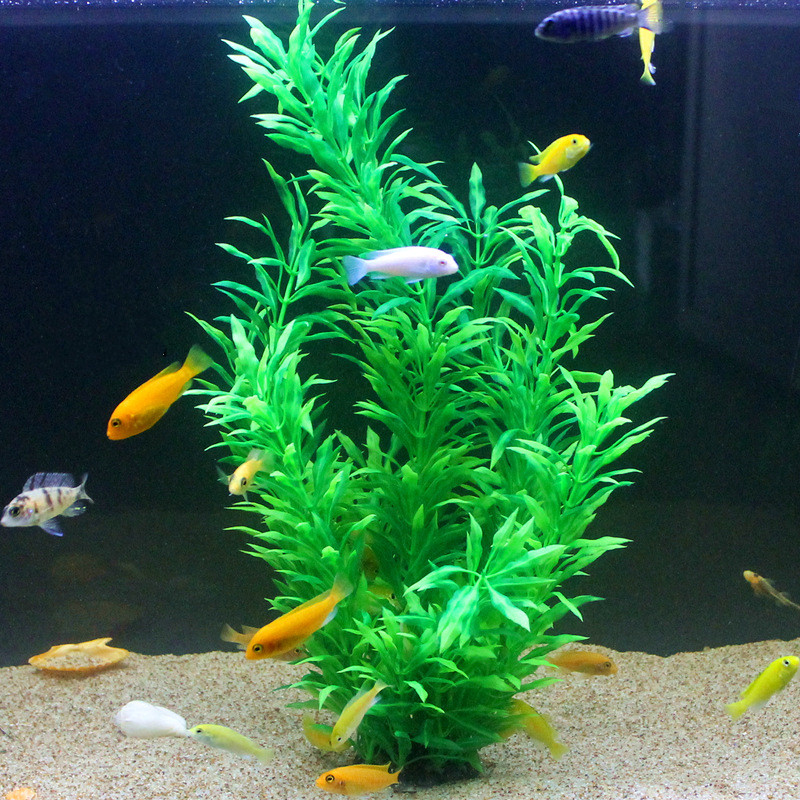 Plantas Artificiales para Acua - Aquarium For Planted Tank reseña y precio