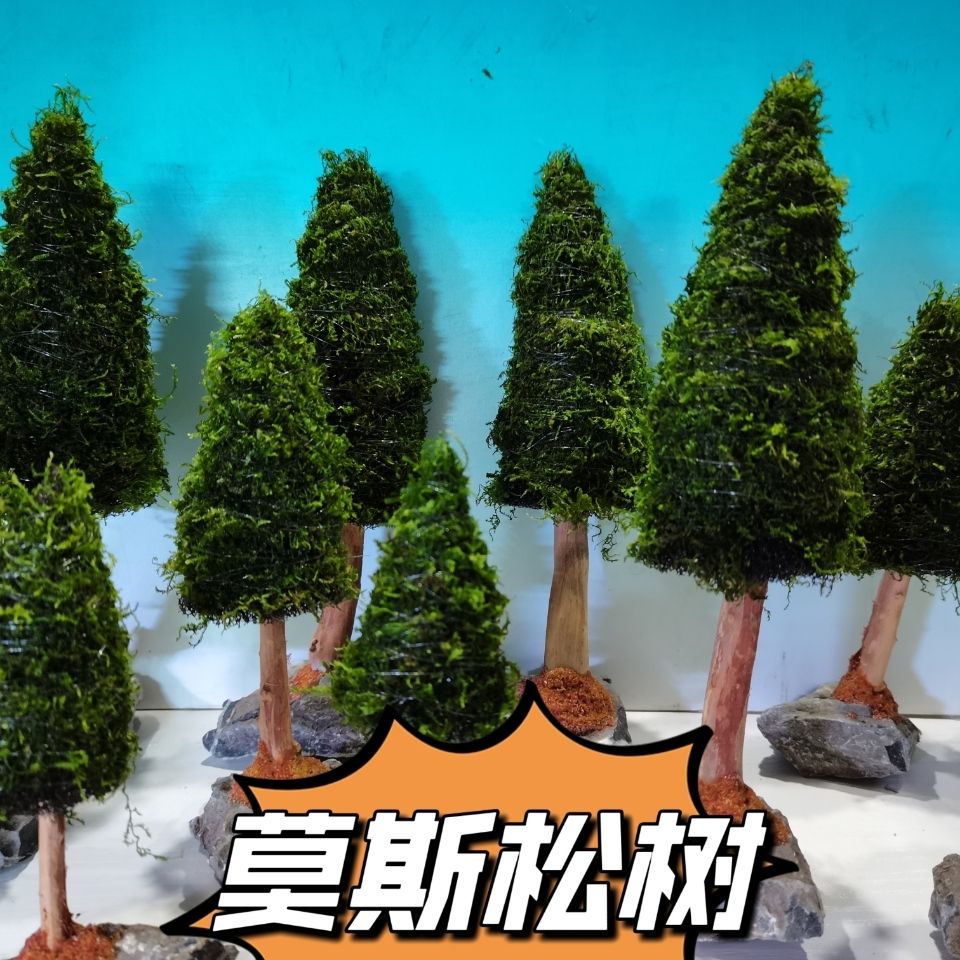 Decoración de plantas acuática - Aquarium Planted Seeds reseña y precio