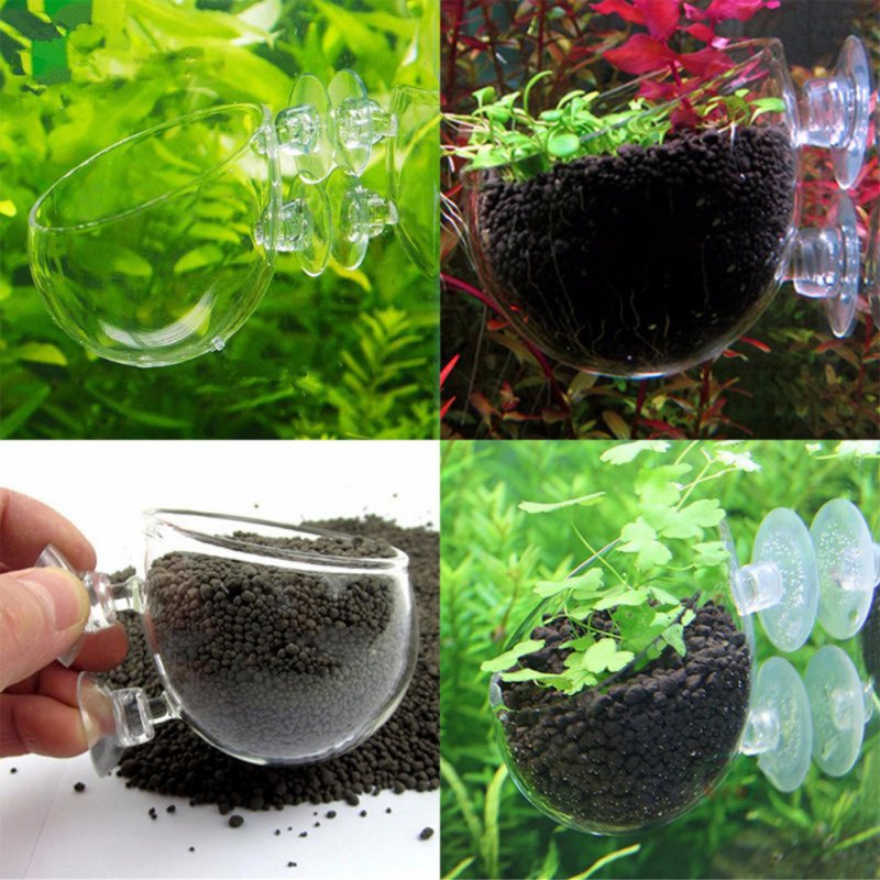 Maceta colgante para acuario,  - Aquarium Planted Seeds reseña y precio